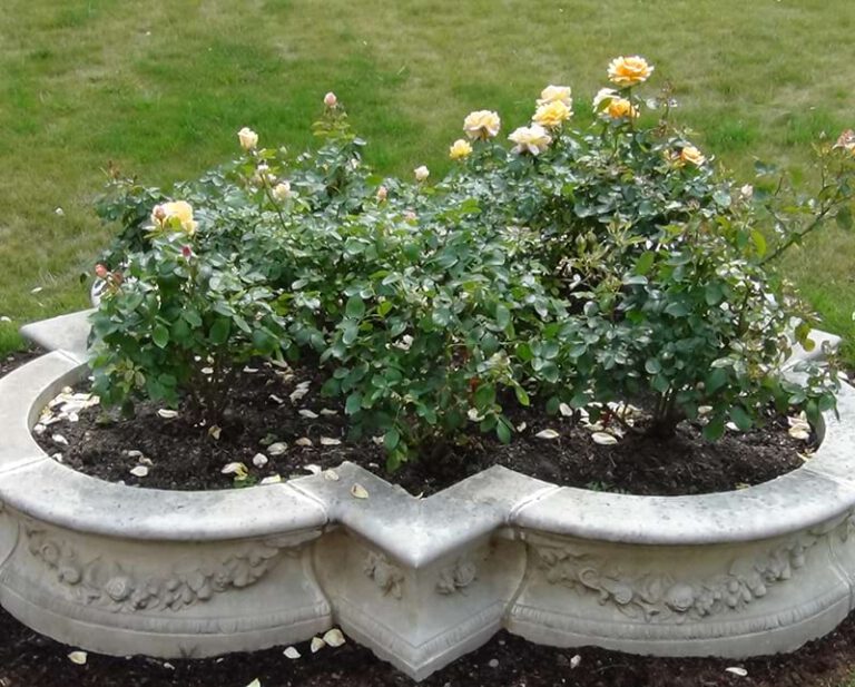 Planter